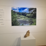 Immagine 6 della galleria di 정명희, 곽지현 | Myunghee Jeong, Jihyeun Kawg