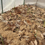 Immagine 1 della galleria di OUR STORIES #1