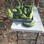 Immagine 2 della galleria di OUR STORIES #1