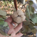 Immagine 3 della galleria di OUR STORIES #1