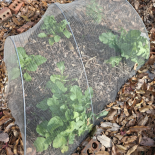 Immagine 5 della galleria di OUR STORIES #1