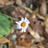 Immagine 6 della galleria di OUR STORIES #1