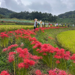 Immagine 2 della galleria di OUR STORIES #5