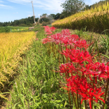 Immagine 3 della galleria di OUR STORIES #5