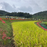 Immagine 4 della galleria di OUR STORIES #5