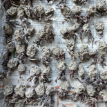 Immagine 2 della galleria di OUR STORIES #12