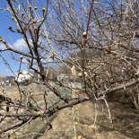 Immagine 3 della galleria di OUR STORIES #12