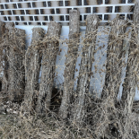 Immagine 5 della galleria di OUR STORIES #12