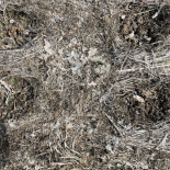 Immagine 6 della galleria di OUR STORIES #12