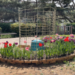 Immagine 5 della galleria di OUR STORIES #11